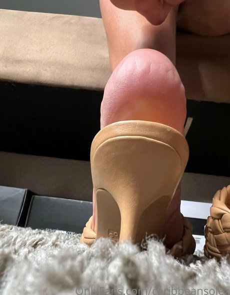 caribbeansolez 無料モデル 画像