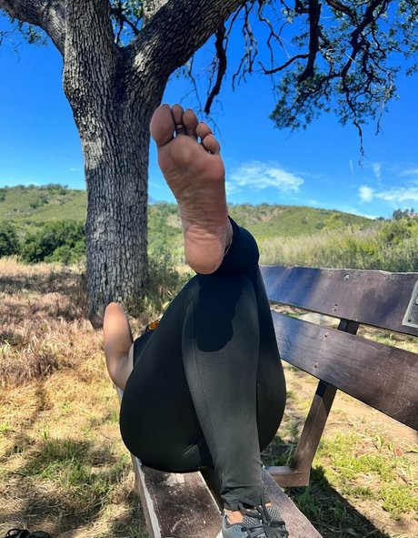 caribbeansolez 美しいスター 写真