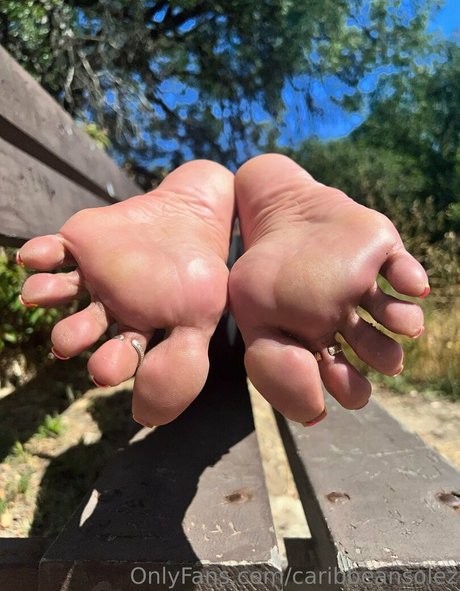 caribbeansolez かわいいスター 写真