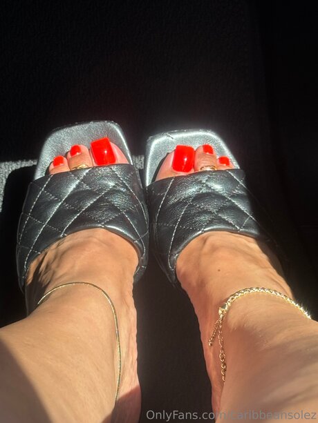 caribbeansolez xxxスター 画像