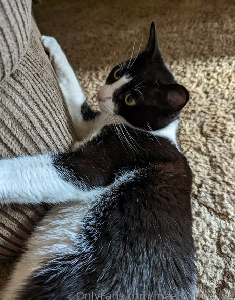 ティーンアナルオンリーファンズ 裸 写真