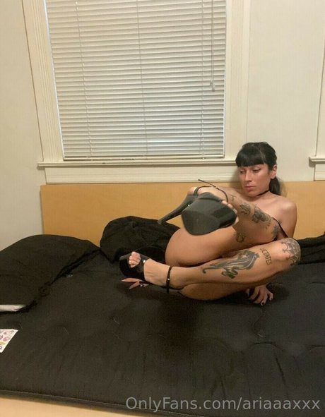 ariaaaxxx ヌードスター ギャラリー