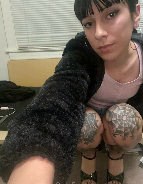 ariaaaxxx HDスター 写真