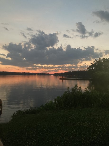 Southern Mistress_ 完璧なスター 写真