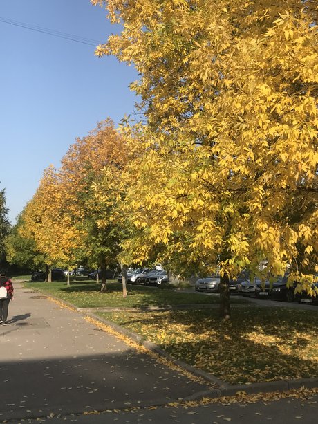 Steph Irl アートモデル ギャラリー