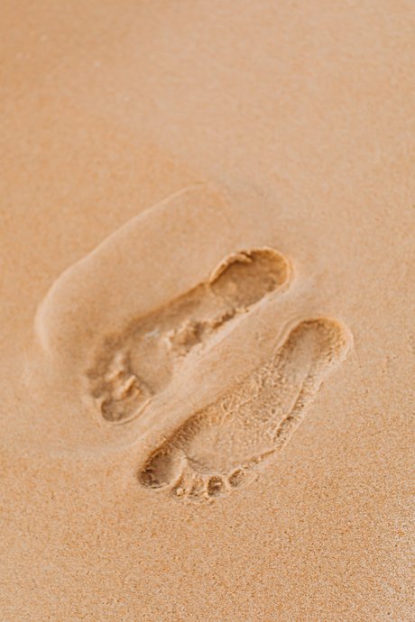 FootsiePop ポルノスター ベスト 画像