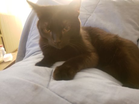 アジア人女性OnlyFans 無料ヌード 画像