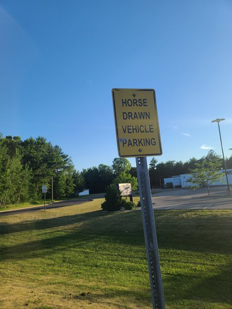 SammyStroke ポルノスター 独占 写真