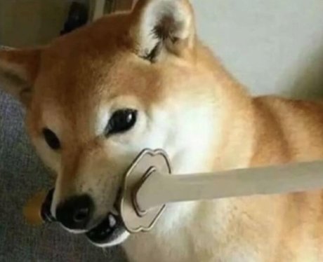 Diddy pup ポルノスター ヌード 写真