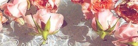 nicole opal 最高のスター 写真