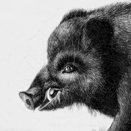 PerKoshon xxx女優 ギャラリー