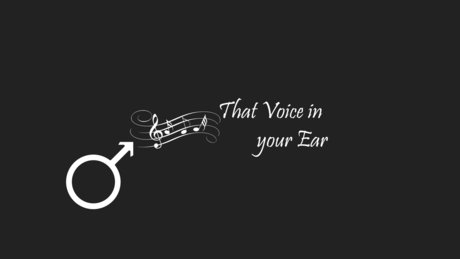That Voice in your Ear 最高のスター 写真