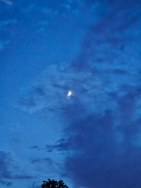 DarkPhoenixRises 独占スター アーカイブ