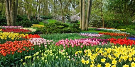 Sandra Sofia 素敵なモデル ギャラリー