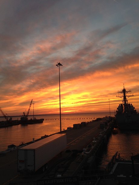 Tattooedsaylor 高品質スター 写真