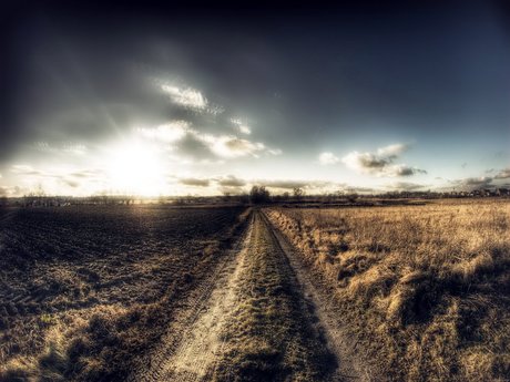 Oswaldo Gutierrez かわいいポルノスター ギャラリー