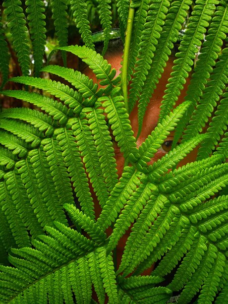 TToes 美しいポルノスター 写真