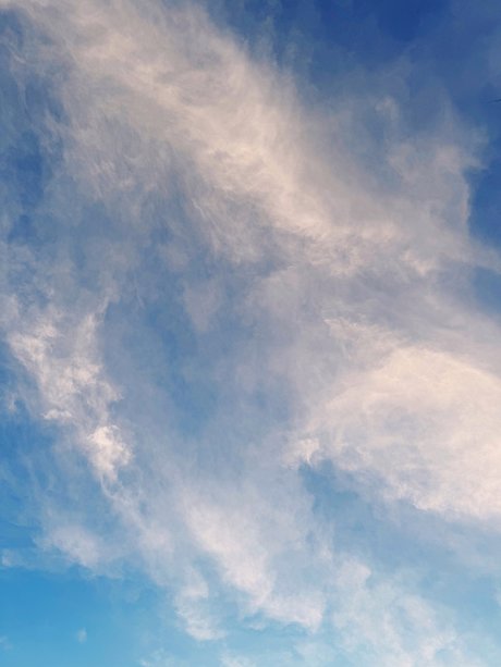 Mauricio Davila XXXモデル ギャラリー