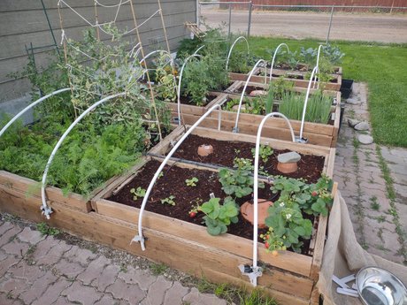 FleshyCuke セックス女優 写真