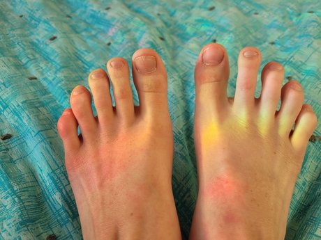 polly podiac 独占モデル 写真