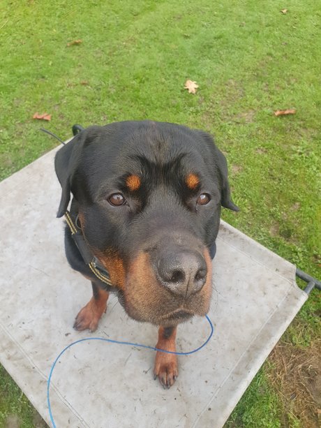 Silkin Day 無料女優 画像