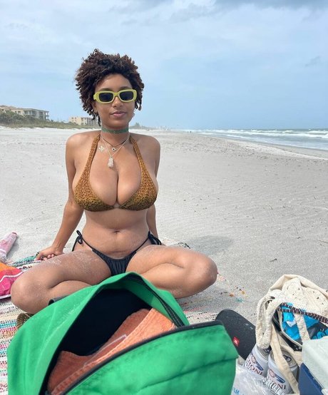 Plantbae ホットモデル アーカイブ