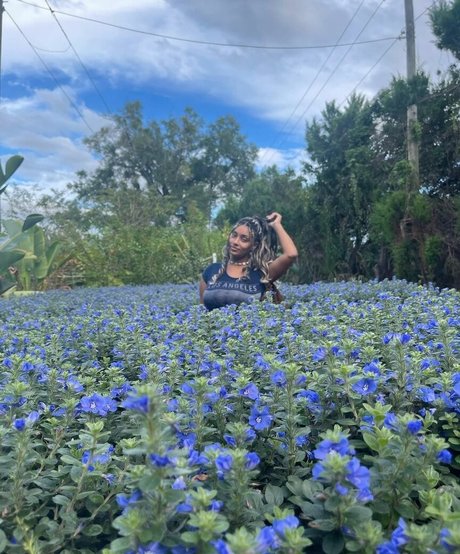 Plantbae ポルノ女優 ギャラリー