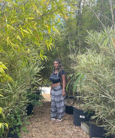 Plantbae かわいいスター 画像