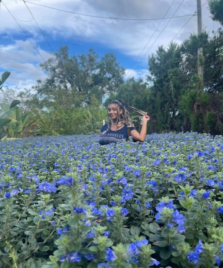 Plantbae アートモデル 写真