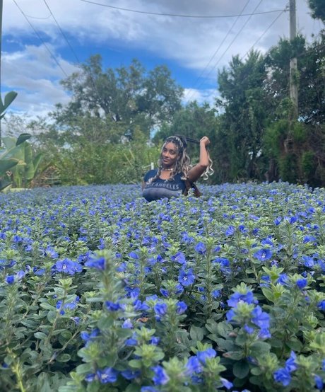 Plantbae セクシーなスター ギャラリー