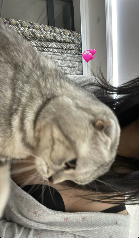 aerri lee 最高の女優 写真