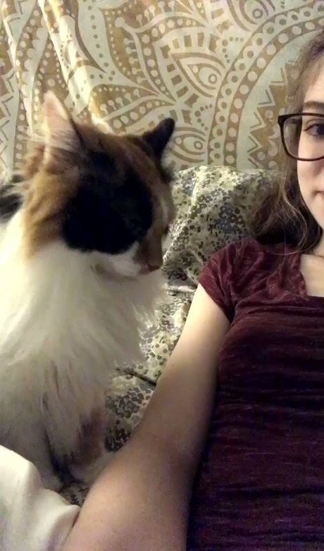 Rose Castella 高品質モデル 写真