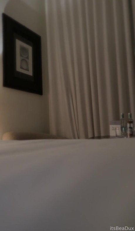 Bea Dux HDスター 写真