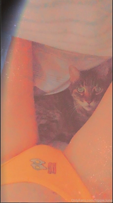 キッチンセックスOnlyFans 無料ヌード 写真