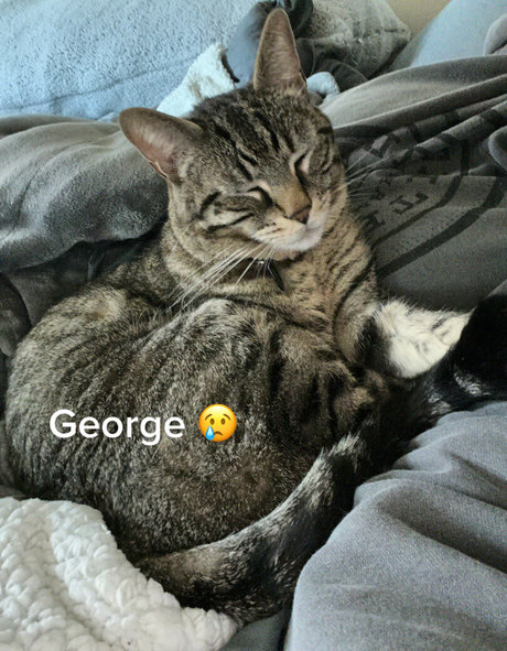 巨乳義母OnlyFans 美しい裸 写真