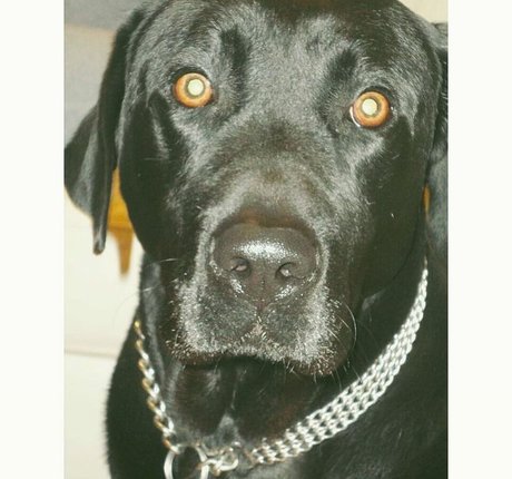 Kika ポルノスター 画像