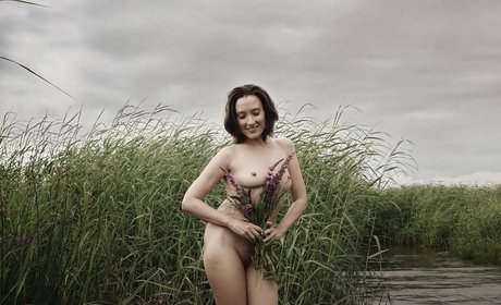 50歳のOnlyFans エロチック アーカイブ