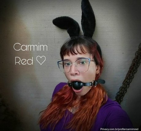 Daise Amarante トップスター 写真