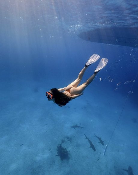 Tara Yummy xxxスター 写真