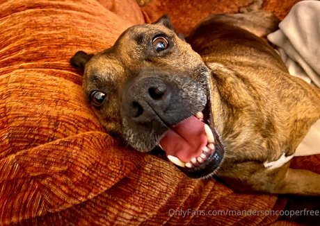 フェイシャルオンリーファンズ えろ ギャラリー