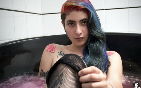 Karenzio HDスター 写真