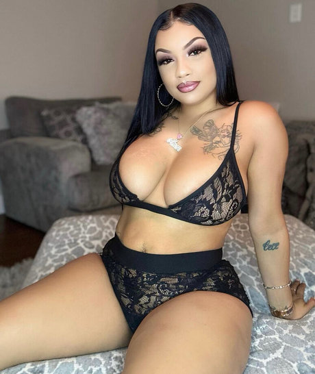 thefanvan 高品質モデル 写真