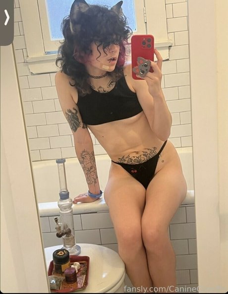 CanineCrucifix セクシーなポルノスター 画像