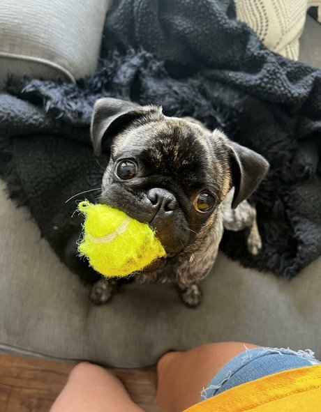 maddyspremium ヌードスター 画像