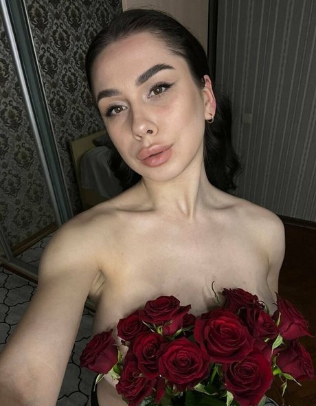 家族限定ファン 美しい 画像