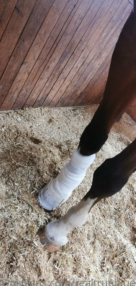 汚れた足オンリーファンズ ポルノ ギャラリー