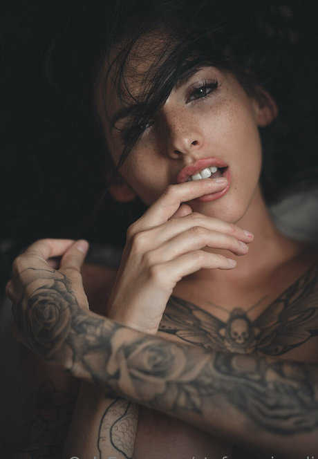 stefanogirardi モデル ギャラリー