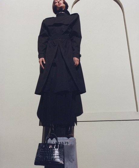 Bridget Gao Hollitt セックススター ギャラリー