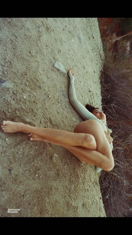 Bridget Gao Hollitt ヌードモデル 画像