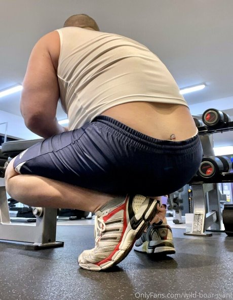 ベラルーシのファンのみ 無料 アーカイブ